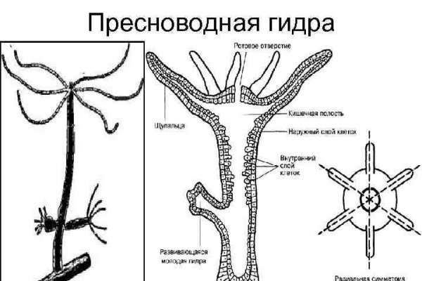 Что можно купить в кракене