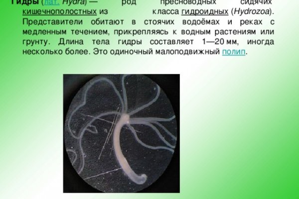 Ссылка на кракен kr2web in