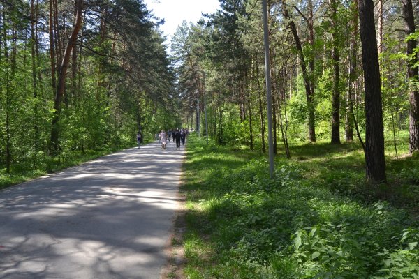 Удалился аккаунт кракен